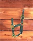 Foal Adjustable Halter with Leather Head Poll Hunter Green
