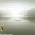 Takemitsu - In an autumn garden