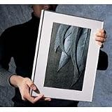 Framatic Fineline, 12 x 16 Aluminum Frame with a Thin Face, Matted for a 8 x 12 Photograph - Silver