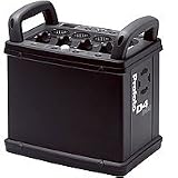 D4 Digital 2400 Watt/Second Power Pack with Slave
