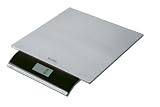 Review Terraillon 08774 / Terraillon Neolis Inox 6.6-Pound Digital Kitchen Scale, Stainless Steel