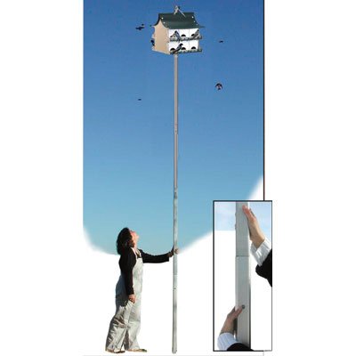 Telescopic Pole for Purple Martin House