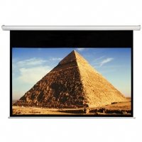 Accuscreen 800001 100-Inch HDTV Electric Screens with Infrared Remote and Inline Control