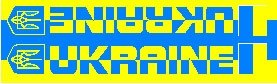 Schal Fanschal Ukraine
