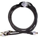 Intec Wii AV/S Cable