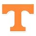 Tennessee Volunteers Small Power T
