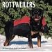 Dog Breeds Rottweilers Calendar
