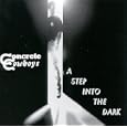 A Step Into The Dark