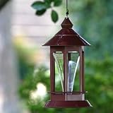 Bird Feeder - The Lantern Wild Bird Feeder
