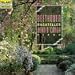 Beethoven: Bagatelles