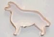 Dog - Border Collie