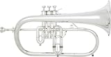 Product details for Blessing B154TS Artist Flugelhorn