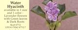 Artificial Water Hyacinth