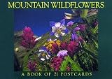 Mountain Wildflowers
