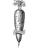 Carrot Danvers Half Long (Heirloom) - 1 Pkt. (2000 seeds)