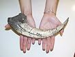Megaraptor Claw Replica