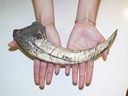 Megaraptor Claw Replica