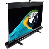 New - Elite Screens exFrame Manual Projection Screen - DT6543