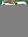 Chester's Presents by Mitzy/ Cox, Kim (ILT) Mcnease ISBN B001EMOWLG