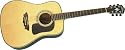 Washburn D30S Acoustic Guitar