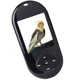 2GB USB 2.0 MP4/MP3/ FM/Voice w/1.8 LCD (Black)