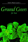 Taylor's Pocket Guide to Ground Covers for Sun (Taylor's Pocket Guides)