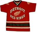 Detroit Red Wings Youth Silk Screen Replica Jersey