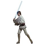 RoomMates RMK1587GM Star Wars Classic Luke Peel and Stick Giant Wall Decal