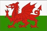 Wales Nylon flag 2 ft. x 3 ft.