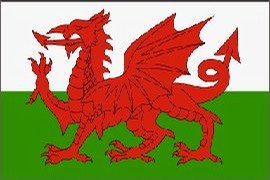 Wales Nylon flag 2 ft. x 3 ft.