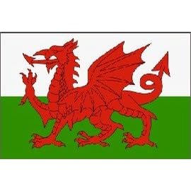 3x5 National Flag of Wales The Red Dragon Welsh Flags