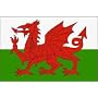 3x5 National Flag of Wales The Red Dragon Welsh Flags