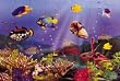 LIGHTS CAMERA INTERACTION LCI427 FLOOR PUZZLE UNDERWATER