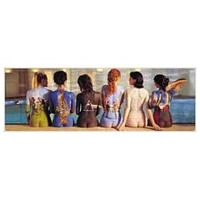 1art1 - 31890 - Poster de Porte - Pink Floyd - Back Catalogue I - 158 X 53 cm