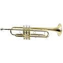 Signature Music 2110L Bb Trumpet with Case, Brass Finish