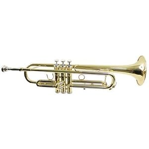 Signature Music 2110L Bb Trumpet with Case, Brass Finish