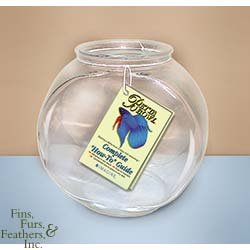 Imagine Drum Glass Betta Fish Bowl with Complete How-To Guide (1 Quart)