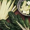 SUTTONS SEEDS: Beet (Leaf) Silver or Sea Kale Seeds (300 seeds)