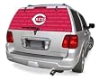 Cincinnati Reds Rearz (24"x 66") Glass Window Tattoo - MLB Baseball Fan Shop Sports Team Merchandise