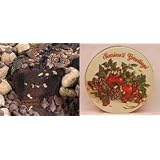 All Star Chocolate 10" Coffee Cake Seasons Greetings Gift Tin by Boba Tea Direct