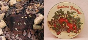All Star Chocolate 8 Coffee Cake (Season's Greetings Gift Tin)
