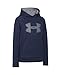 Under Armour Boys' Storm Armour Fleece Big Logo Hoodie