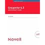 Novell GroupWise 6.5 Administrator's Guide (Novell Press)