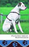 Lupine Medium Dog Harness - Muddy Paws 12-20