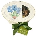 Hyacinth Recycla-bowl