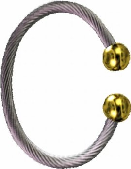 Qi(chi) Ionic/ Biomagnetic Bracelet Two Tone M