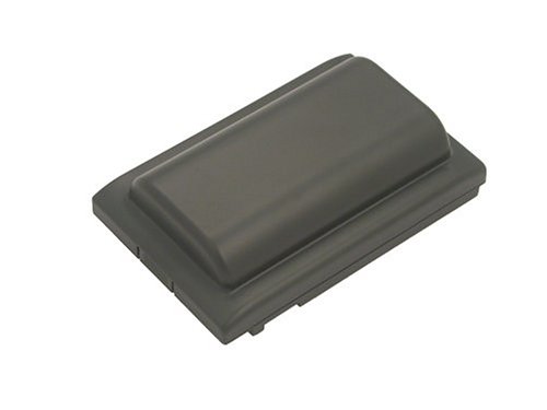 Battery-Biz Inc. 7.2 Volt Li-Ion Camcorder Battery