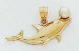 Dolphin Charm