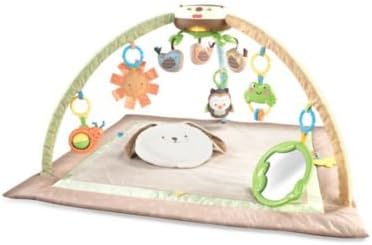 Fisher-Price My Little Snugabunny Ultra Comfort Musical Gym