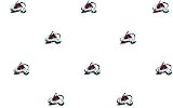 Colorado Avalanche Double Roll of Wallpaper